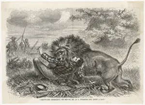 Shakes Prints: Livingstone Attacked