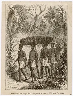 Living Stone Prints: Livingstone Carried