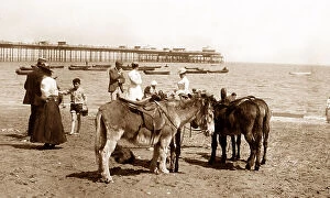 Llandudno Collection: Llandudno beach donkeys Victorian period