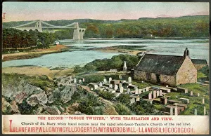 Hazel Collection: Llanfair Pg