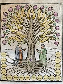Llull, Ramon (1233 / 1235-1315 / 1316). Majorcan writer and phi