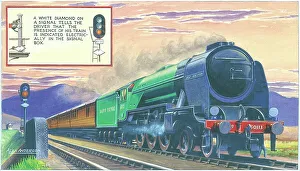Passing Prints: LNER A1/1 Class No. 60113 ?Great Northern