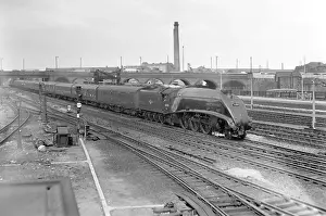Ralph Prints: LNER steam locomotive, Sir Ralph Wedgwood