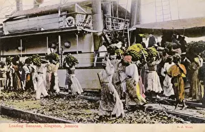 Bunch Prints: Loading Bananas onto a ship - Kingston, Jamaica