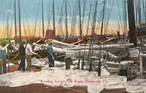 Images Dated 14th June 2011: Loading ice onto Fishing Boats, Pensacola