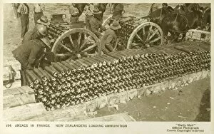 Zealander Collection: Loading Shells - New Zealand Troops in France