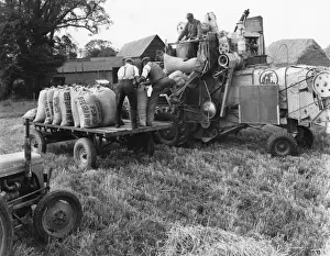 Barley Prints: Loading Threshed Barley