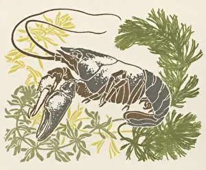 Claw Prints: Lobster and seaweed