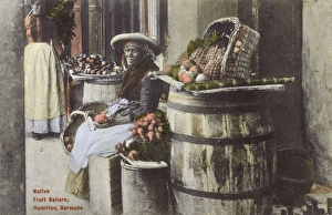 Vegetable Vendor