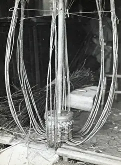 Local withies (willow branches) for making crab or lobster pots, Beesands, Start Bay, Devon Date: 1960