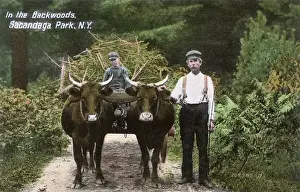 Braces Prints: Locals with cart, Sacandaga Park, New York State, USA