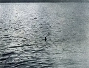 Loch Ness Monster