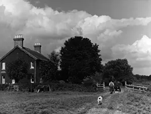 Locks Green Farm