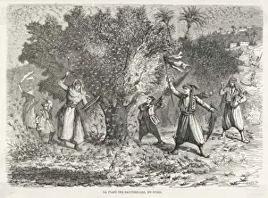 Locust Prints: Locust Swarm in Syria