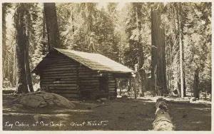 Cabins Prints: Log Cabin, Cow Camp, Giant Forest, California, USA