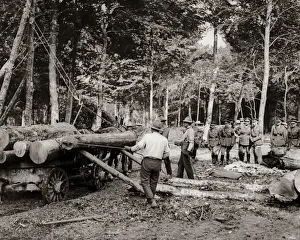 Logging Prints: Loggers at work in France, Western Front, WW1