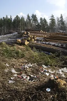 Rubbish Prints: Logging site - rubbish left by loggers - stacked