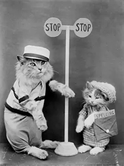 Spelling Prints: LOLLIPOP CAT