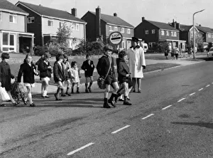 Lollipop Lady