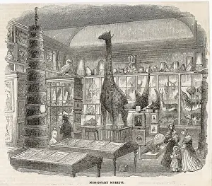 Lon Miss Soc Museum 2
