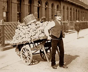 London Barrow Boy Victorian period