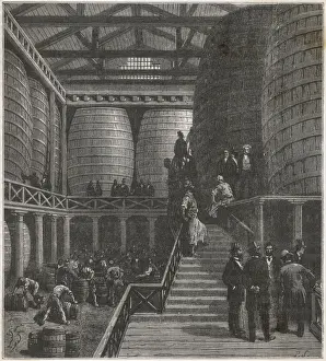 London Beer Cellar