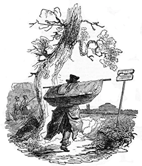 Images Dated 16th February 2016: London Bird Catcher