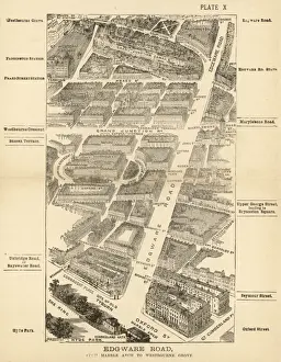 London Birdseye 10