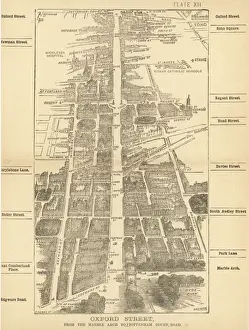 Birds Eye Prints: London Birdseye 12