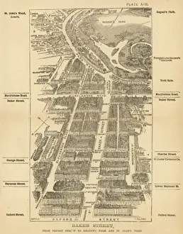 London Birdseye 13