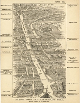 London Birdseye 16 London Birdseye 16
