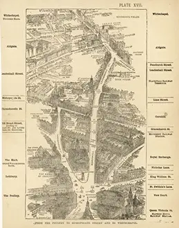 Birds Eye Prints: London Birdseye 17