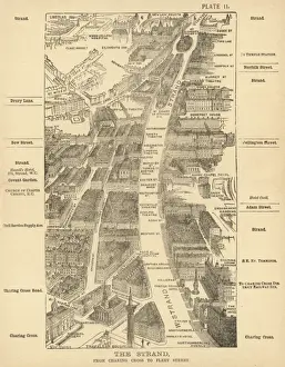 Birds Eye Prints: London Birdseye 2