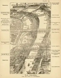 London Birdseye 20
