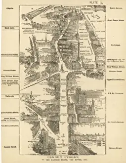 London Birdseye 4