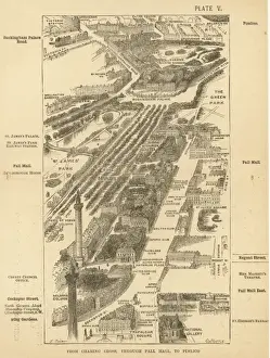 London Birdseye 5