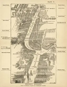 Birds Eye Prints: London Birdseye 6