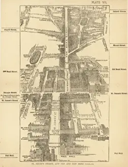 London Birdseye 7