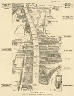 London Birdseye 8