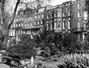 London/Cheyne Walk London/Cheyne Walk