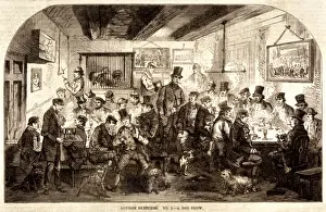 Exclusively Prints: London Dog Show 1861