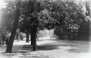 Moment Prints: London Dulwich Village