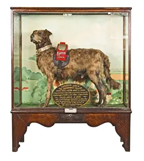 Canis Prints: London Jack