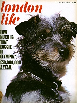 London Life Magazine Gallery: London Life
