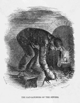 Rats Gallery: London Rat Catcher