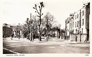 London Street Road Building Buildings Pollarded