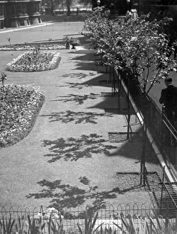 Lawn Gallery: London / Temple Gardens