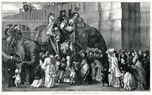 Elephants Prints: London Zoo