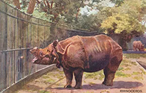 London Zoo