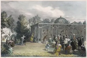LONDON ZOO